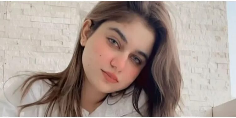 ڈسٹرکٹ اینڈ سیشن کورٹس اسلام آباد میں ٹک ٹاکر سامعہ حجاب کے مبینہ اغوا اور نقدی چھیننے کے کیس میں گرفتار ملزم حسن زاہد نے عدالت میں اعتراف جرم کرلیا۔