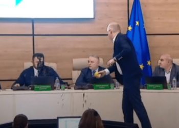 جارجیا میں اپوزیشن رکن نے الیکشن کمیشن کے سربراہ پر سیاہی پھینک دی