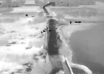 پنجاب کی تھرمل ڈرون ٹیکنالوجی نے 2000 جانیں بچائیں