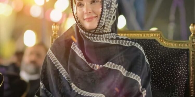 طلباء پاکستان کے علم بردار ہیں اور مستقبل انھی کے ہاتھوں میں ہے ، میرا پہلی خاتون وزیر اعلیٰ بننا پاکستان کی تمام بیٹیوں کا اعزاز ہے –