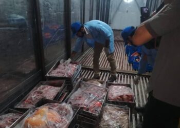 اسلام آباد میں فوڈ اتھارٹی کی بڑی کارروائی, 25 من گدھے کا گوشت  برآمد,