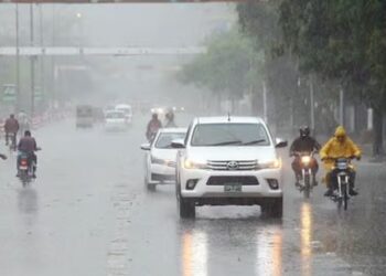 🚨گل پلازہ سانحہ، ملبے سے لاشیں نہیں صرف ہڈیاں مل رہی ہیں: سینئر فائر آفیسر