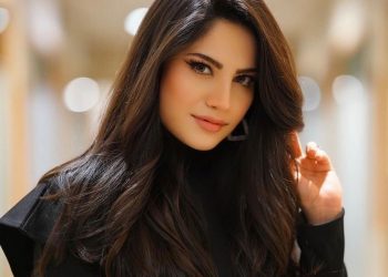 نیلم منیر جلد شدی کے بندھن میں بندھنے جارہی ہیں، دولہا کون؟